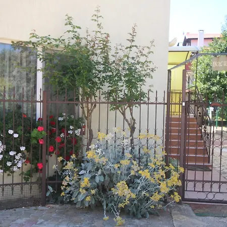 Guest House Kiwi-3